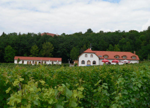 SÁDEK WINE NATURE TRAIL