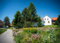 Bořetínský statek Farm