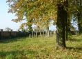 CHOTĚBOŘ JEWISH CEMETERY