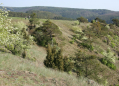 Lehrpfad Mohelenská hadcová step (Serpentinensteppe Mohelno)