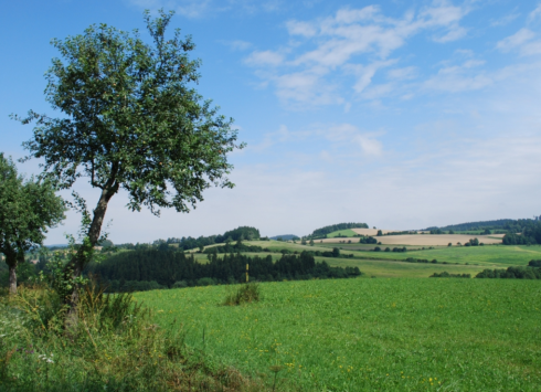 THE DEEP RAVINES OF THE SVRATECKÁ HORNATINA HIGHLANDS