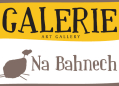 Galerie Na Bahnech Vír