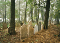 HABRY JEWISH CEMETERY