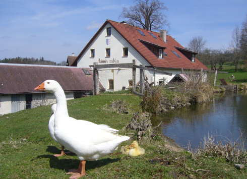 HÁNŮV MLÝN