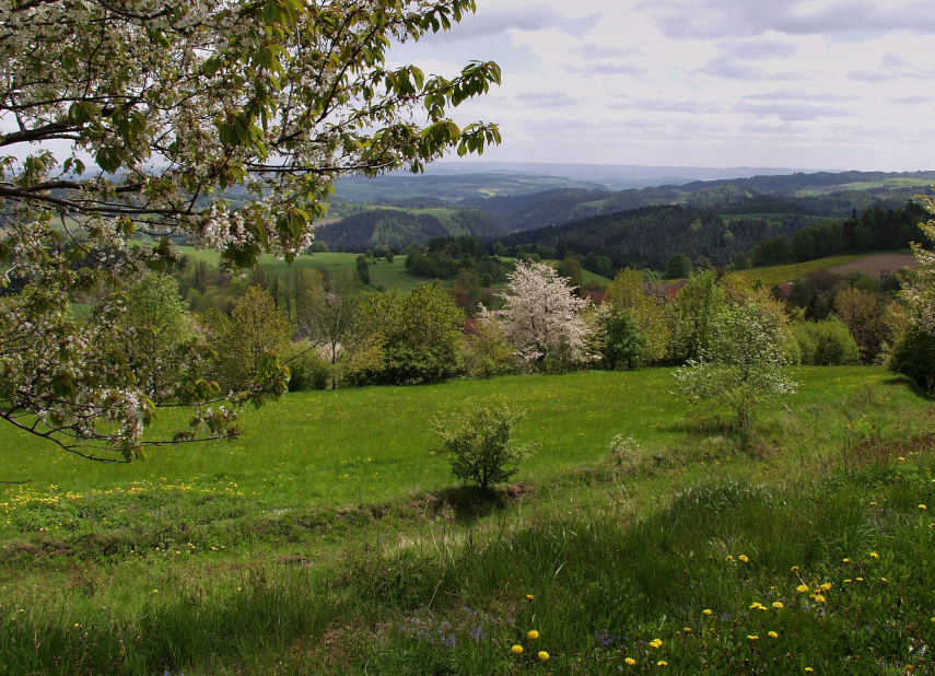 Přírodní park Svratecká hornatina