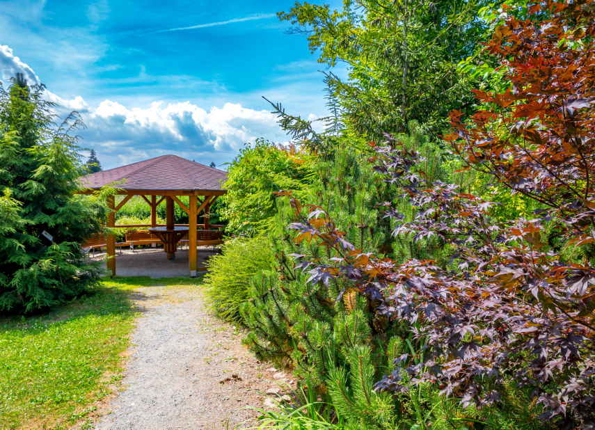 Arboretum Nové Město na Moravě