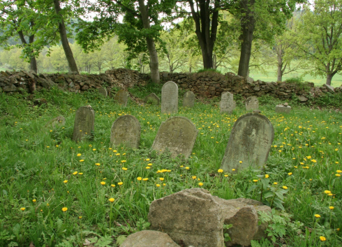 PAVLOV JEWISH CEMETERY