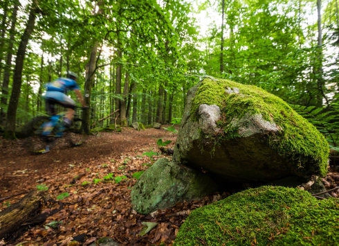 Geoparkem Vysočina na Javořici