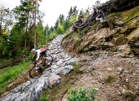 Singletracky Nové Město na Moravě