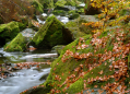 Lehrpfad durch das Tal des Flusses Doubrava