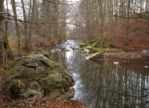 Přírodní park Doubrava