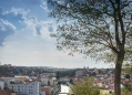 Jewish Quarter and St Procopius' Basilica in Třebíč (UNESCO)