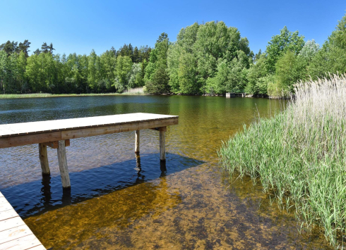 Zamilujte si přírodní koupaliště Plačkov