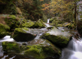 Nature trail through the Doubrava valley