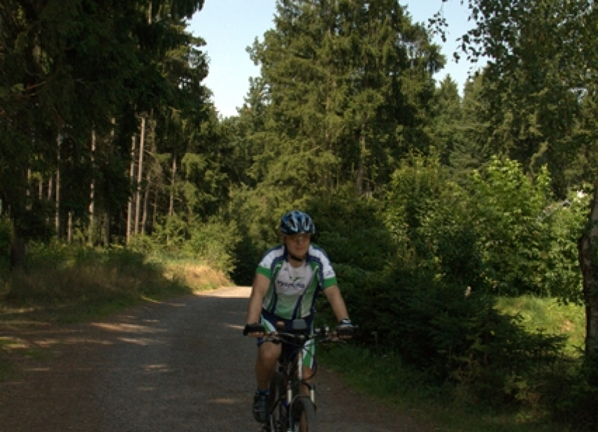 FROM MORAVSKÉ BUDĚJOVICE TO JEMNICE THROUGH FORESTS, MEADOWS AND VILLAGES