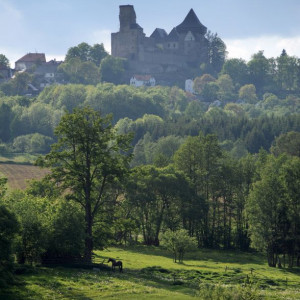 Hrad Lipnice nad Sázavou